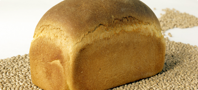 A loaf of bread made with lupin flour, sitting on a bed of Australian sweet lupin seed.