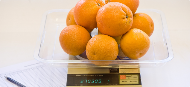 Weighing citrus fruit to determine percentage juice