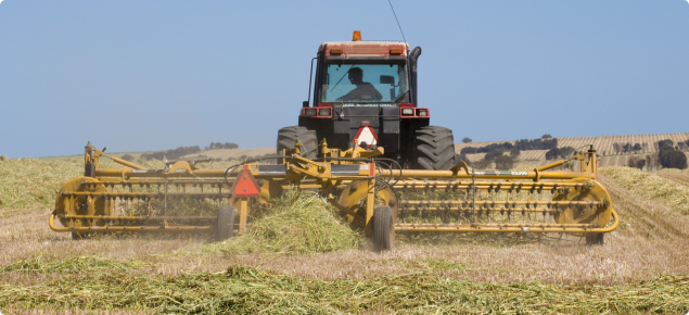 Hay being raked into windrows in a paddock using tractor towed raking equipment