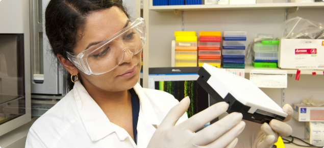 Female Grains Research officer wearing lab coat and protective eye wear looking for genetic markers (DNA) in a laboratory at Murdoch University.