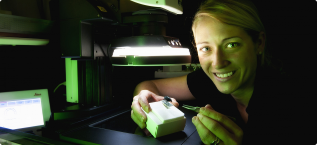 Pia Scanlan shows a mounted insect under the digital imaging microcsope