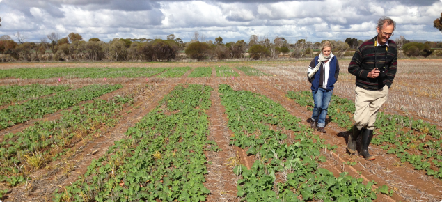 DAFWA Research Officer Bob French and Sally Sprigg in Merredin nitrogen trial
