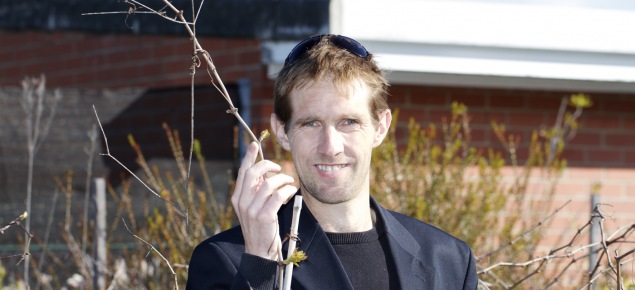Dr Michael Considine is leading research to look at what distinguishes one Cabernet Sauvignon clone from another.