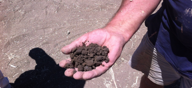 Soil sample for Irwin hydrological assessment
