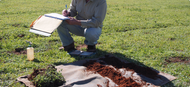 DPIRD staff assessing soils in the Midlands area