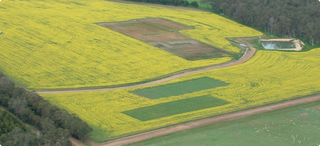 Roaded catchment from the air