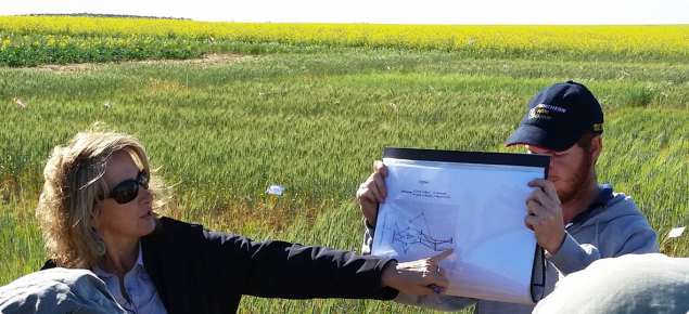 Christine Zaicou-Kunesch discussing wheat research findings at the NAG field day