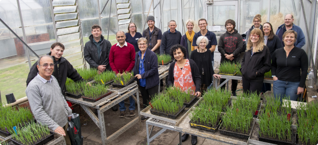 National Variety Trials disease resistance team