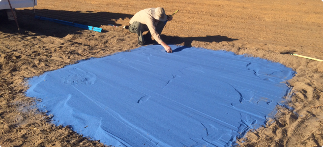 DPIRD officer in a paddock with a large squar of blue sand spread on the ground. 