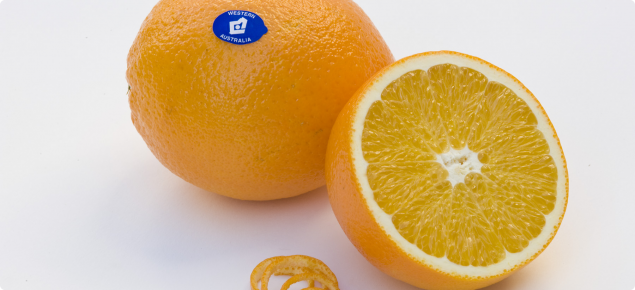 Navel orange