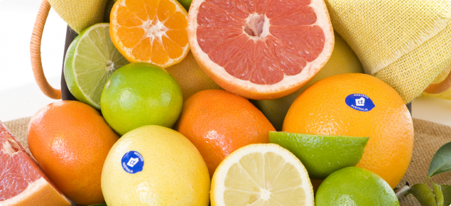 Healthy citrus fruit including oranges, limes, lemons and grapefruit