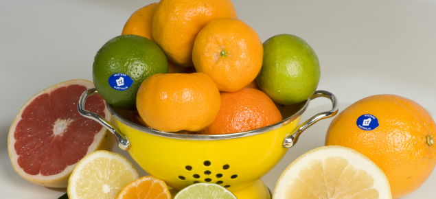 Healthy Western Australian citrus fruits
