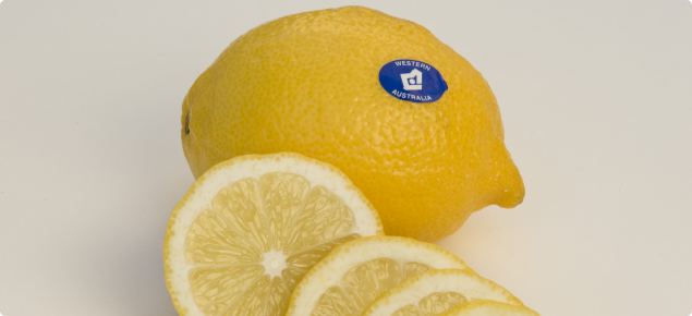 Healthy lemon