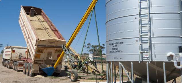 Grain truck unloading oats through an auger into a silo for feed use