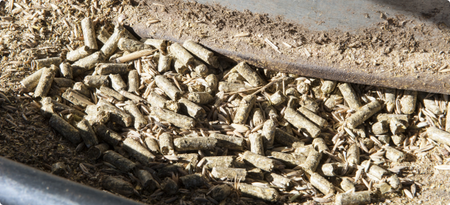 Sheep lick feeder with sheep pellets in it