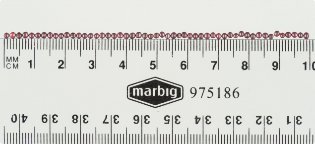 There are 52 seeds lined up along a 10cm length of ruler