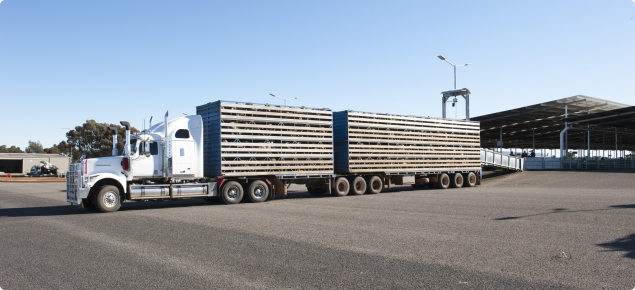 Truck at saleyard