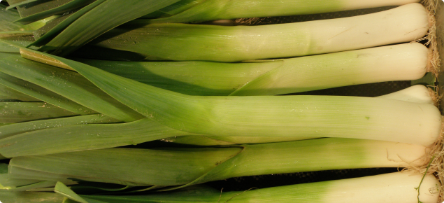 Leeks displayed for sale