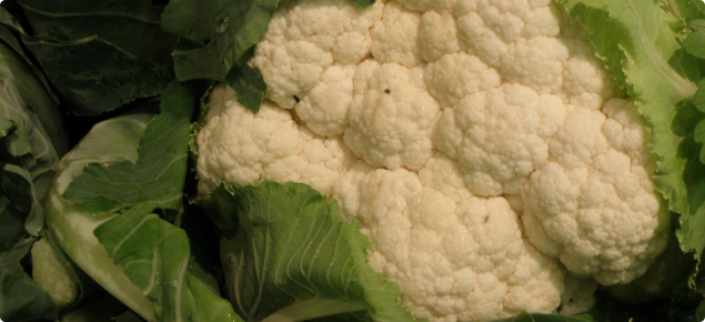 White cauliflower with trimmed green leaves ready for sale.