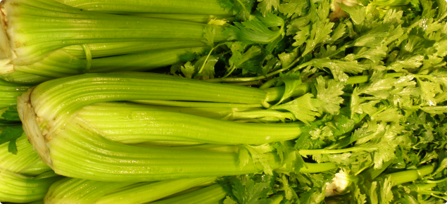 Celery displayed for sale