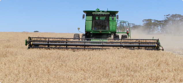 Kaspa Field Pea Harvesting with a John Deere harvester.