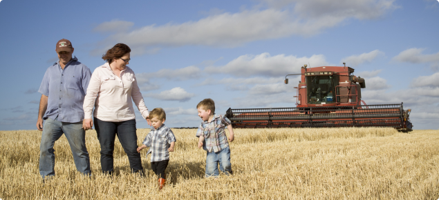 A family standing in a field of wheat