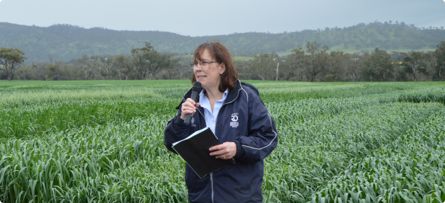 Pamela Zwer, oat breeder, outlining the benefits of Williams in front of the trial plots at York in September 2013