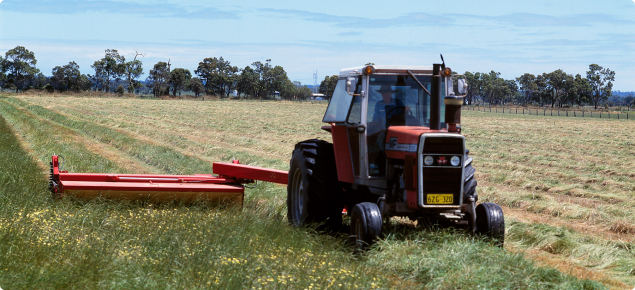 Tractor mowing pasture in preparation for hay making.