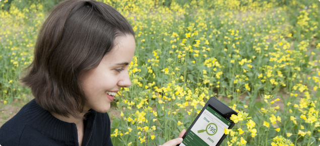 You can use the MyPestGuide app to identify and report insect pests to the department.