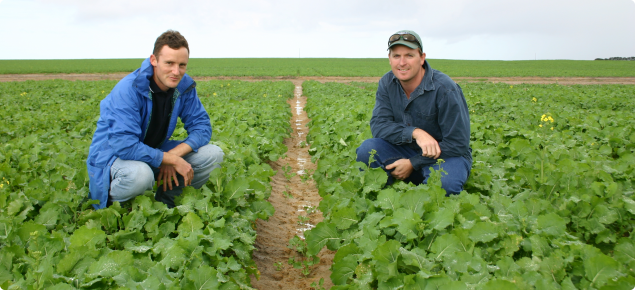 Inspecting raised beds in a paddock