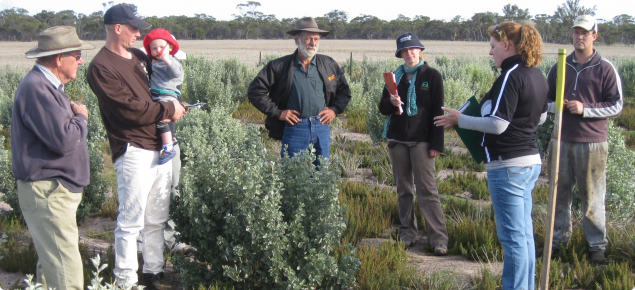 Interested onlookers listen to Dr Hayley Norman from CSIRO explain the attributes of the new elite cultivars of old man saltbush