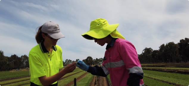 Two horticultural workers talking