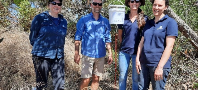 Kate Muirhead, Dr Kym Perry, Lizzie von Perger, and Svetlana Micic place snails with parasitic flies into release buckets as part of a biocontrol trial at Wellstead in the Great Southern