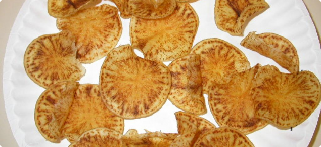 Zebra chip affected fried potato chips