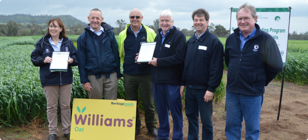 Oat team after presentation of certificates by the DG for Agriculture Rob Delane to celebrate the release of Williams.  Pamela Zwer, John Sydenham, Joe Naughton, Max Karopolous and Peter McCormack.
