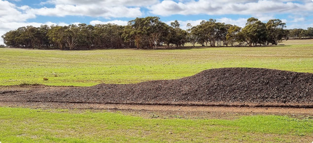 Undanooka Soil Project - Compost, Pasture, Eucalypts.jpg