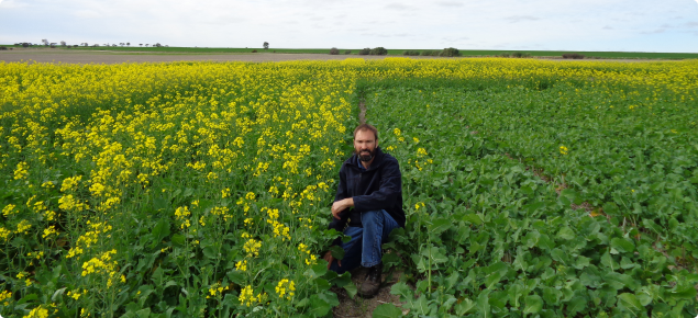 DAFWA researcher Martin Harries at a trial at Wongan Hills looking at sowing times for canola; March sown plots (left) and mid-April sown plots (right), photo taken July 5th.
