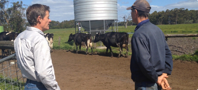 DPIRD vet and producer at dairy property with NAMP trap