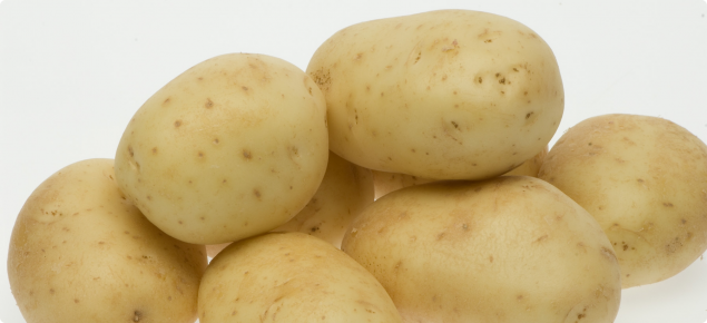 Close up of white star potatoes on white background