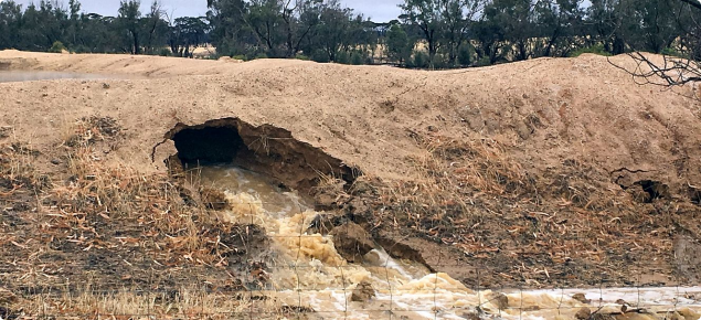 Photograph of massive pipe erosion in the wall of a farm dam