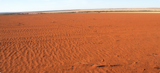 Photograph of eroded red soil paddock near Mullewa, Western Australia