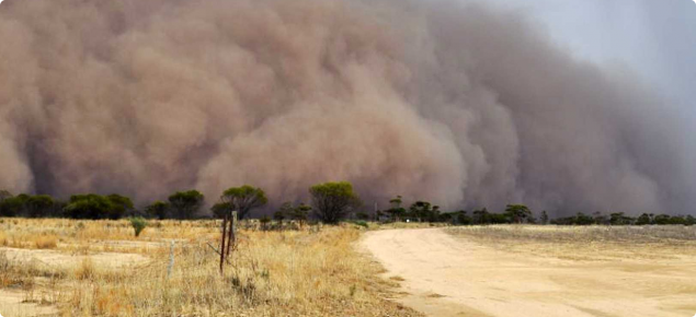 The Central Northern Wheatbelt agricultural soil zone was assessed as having an unacceptable hazard of wind erosion in 2011.