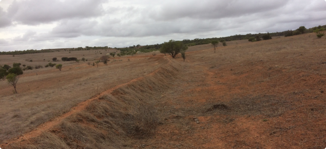 Contour designed to spread water across the landscape at Yanget