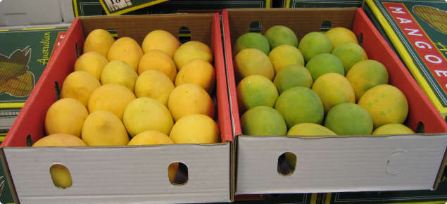 Organic mangoes