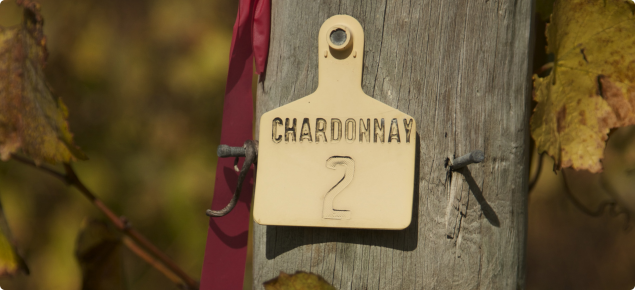 Post with label of Chardonnay