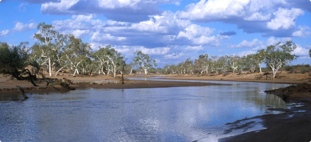 An inventory and condition survey of the lower Murchison River area, Western Australia. Technical bulletin no. 96