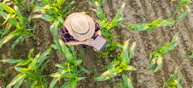 farmer_ipad_crops_overhead