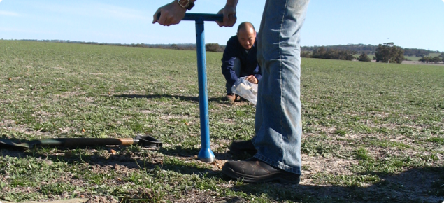 Soil sampling using a hand auger 