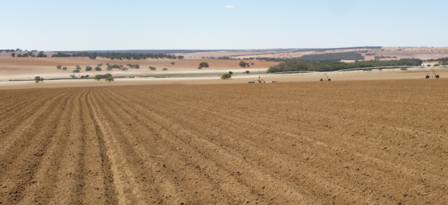 A field that has been ripped via rotary hoe for pre potato planting