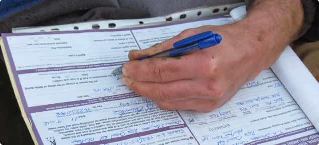 Photo of a person completing a sheep NVD form.